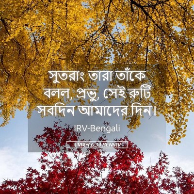 Picture 05 - যোহন 6:34 BENIRV - সুতরাং তারা তাঁকে - Bible Verse Picture
