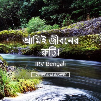 Picture 05 - যোহন 6:48 BENIRV - আমিই জীবনের - Bible Verse Picture