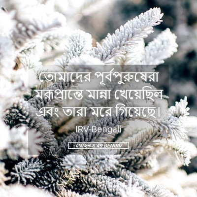 Picture 05 - যোহন 6:49 BENIRV - তোমাদের - Bible Verse Picture