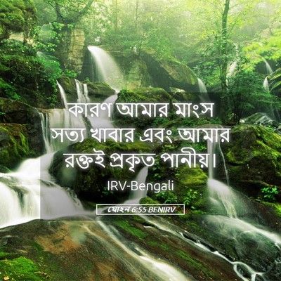 Picture 05 - যোহন 6:55 BENIRV - কারণ আমার মাংস - Bible Verse Picture
