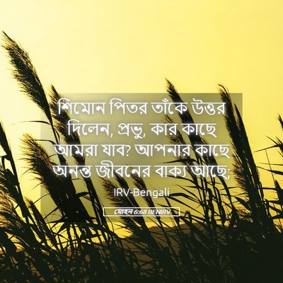 Picture 05 - যোহন 6:68 BENIRV - শিমোন পিতর তাঁকে - Bible Verse Picture
