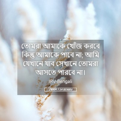 Picture 05 - যোহন 7:34 BENIRV - তোমরা আমাকে খোঁজ - Bible Verse Picture