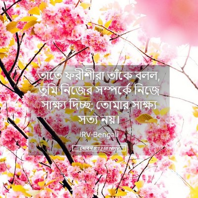 Picture 05 - যোহন 8:13 BENIRV - তাতে ফরীশীরা - Bible Verse Picture