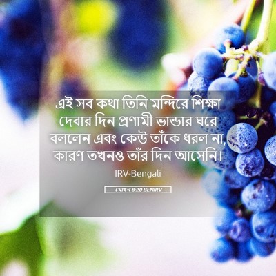 Picture 05 - যোহন 8:20 BENIRV - এই সব কথা তিনি - Bible Verse Picture