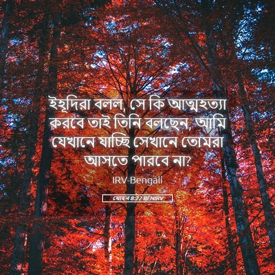 Picture 05 - যোহন 8:22 BENIRV - ইহূদিরা বলল, সে কি - Bible Verse Picture