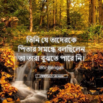 Picture 05 - যোহন 8:27 BENIRV - তিনি যে তাদেরকে - Bible Verse Picture