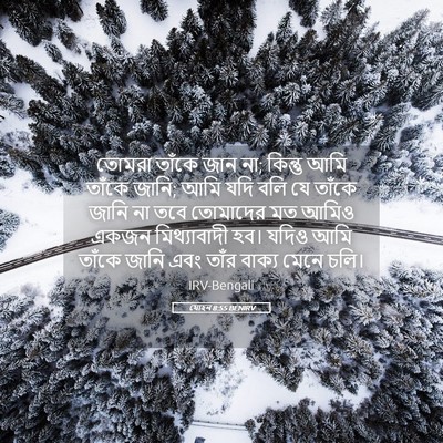 Picture 05 - যোহন 8:55 BENIRV - তোমরা তাঁকে জান না; - Bible Verse Picture