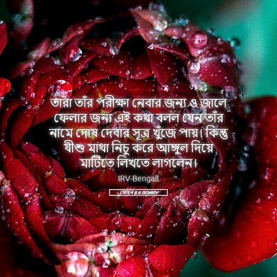 Picture 05 - যোহন 8:6 BENIRV - তারা তাঁর পরীক্ষা - Bible Verse Picture