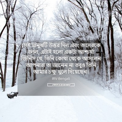 Picture 05 - যোহন 9:30 BENIRV - সেই মানুষটি উত্তর - Bible Verse Picture