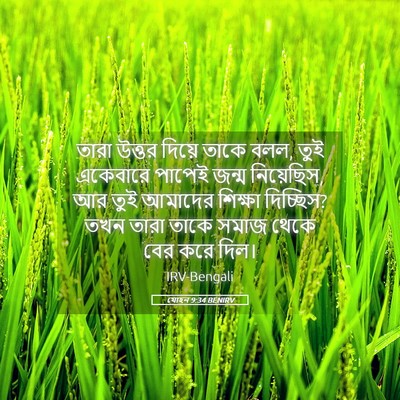 Picture 05 - যোহন 9:34 BENIRV - তারা উত্তর দিয়ে - Bible Verse Picture