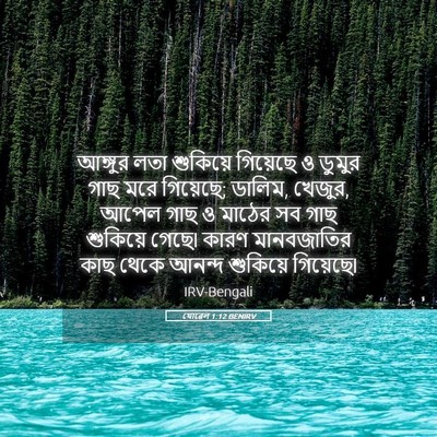 Picture 05 - যোৱেল 1:12 BENIRV - আঙ্গুর লতা - Bible Verse Picture