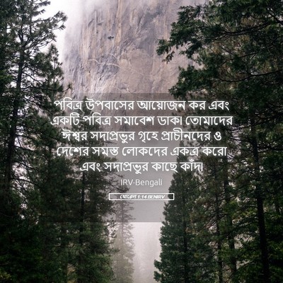 Picture 05 - যোৱেল 1:14 BENIRV - পবিত্র উপবাসের - Bible Verse Picture