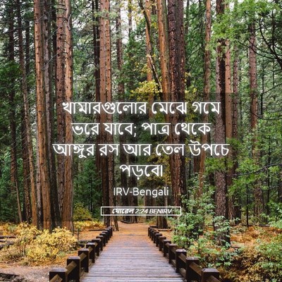 Picture 05 - যোৱেল 2:24 BENIRV - খামারগুলোর মেঝে - Bible Verse Picture