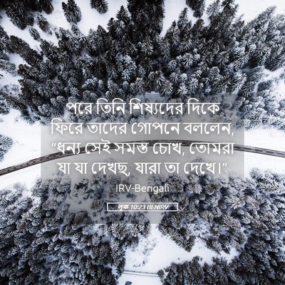 Picture 05 - লূক 10:23 BENIRV - পরে তিনি শিষ্যদের - Bible Verse Picture