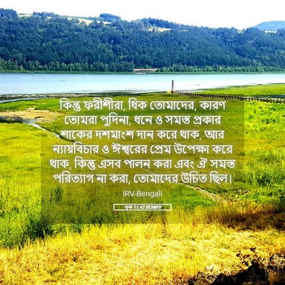 Picture 05 - লূক 11:42 BENIRV - কিন্তু ফরীশীরা, - Bible Verse Picture