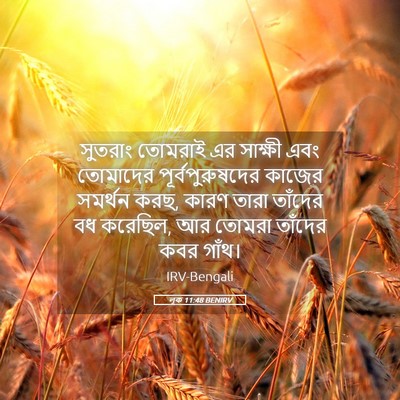 Picture 05 - লূক 11:48 BENIRV - সুতরাং তোমরাই এর - Bible Verse Picture