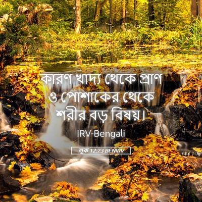 Picture 05 - লূক 12:23 BENIRV - কারণ খাদ্য থেকে - Bible Verse Picture