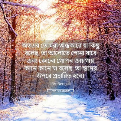 Picture 05 - লূক 12:3 BENIRV - অতএব তোমরা - Bible Verse Picture