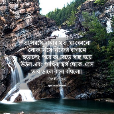 Picture 05 - লূক 13:19 BENIRV - তা সরষে দানার মত, - Bible Verse Picture