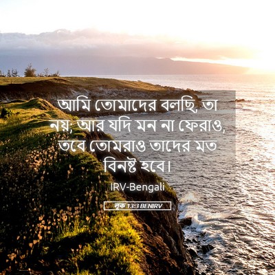 Picture 05 - লূক 13:3 BENIRV - আমি তোমাদের বলছি, - Bible Verse Picture