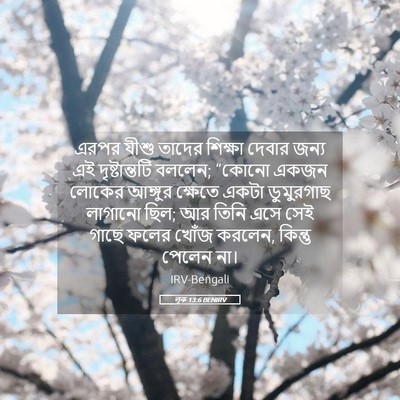 Picture 05 - লূক 13:6 BENIRV - এরপর যীশু তাদের - Bible Verse Picture