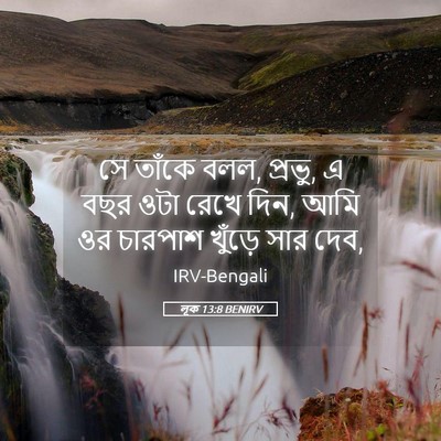 Picture 05 - লূক 13:8 BENIRV - সে তাঁকে বলল, - Bible Verse Picture