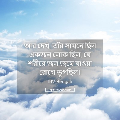 Picture 05 - লূক 14:2 BENIRV - আর দেখ, তাঁর সামনে - Bible Verse Picture