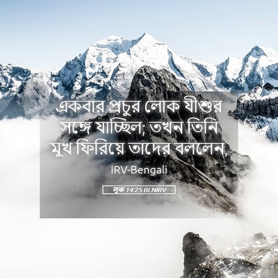 Picture 05 - লূক 14:25 BENIRV - একবার প্রচুর লোক - Bible Verse Picture