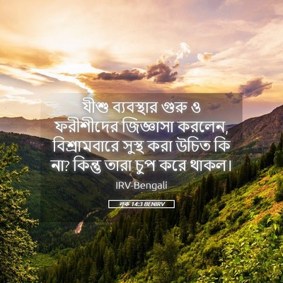Picture 05 - লূক 14:3 BENIRV - যীশু ব্যবস্থার - Bible Verse Picture