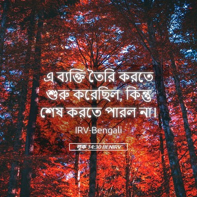 Picture 05 - লূক 14:30 BENIRV - এ ব্যক্তি তৈরি - Bible Verse Picture
