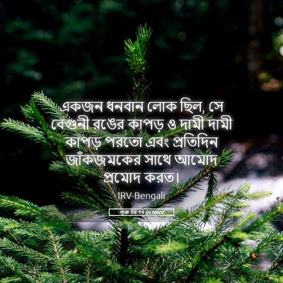 Picture 05 - লূক 16:19 BENIRV - একজন ধনবান লোক ছিল, - Bible Verse Picture