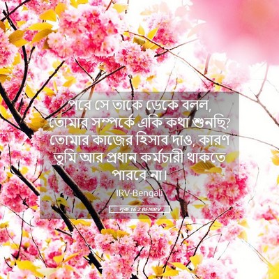 Picture 05 - লূক 16:2 BENIRV - পরে সে তাকে ডেকে - Bible Verse Picture