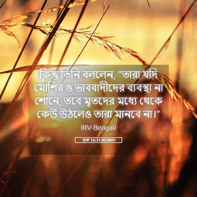 Picture 05 - লূক 16:31 BENIRV - কিন্তু তিনি বললেন, - Bible Verse Picture