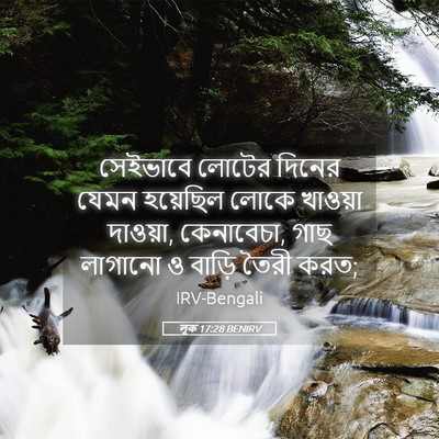 Picture 05 - লূক 17:28 BENIRV - সেইভাবে লোটের - Bible Verse Picture