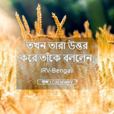 Picture 05 - লূক 17:36 BENIRV - তখন তারা উত্তর করে - Bible Verse Picture