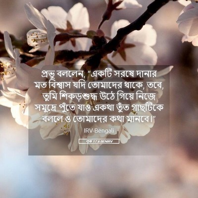 Picture 05 - লূক 17:6 BENIRV - প্রভু বললেন, “একটি - Bible Verse Picture