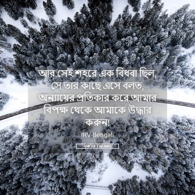 Picture 05 - লূক 18:3 BENIRV - আর সেই শহরে এক - Bible Verse Picture