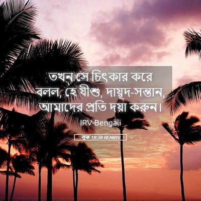 Picture 05 - লূক 18:38 BENIRV - তখন সে চিৎকার করে - Bible Verse Picture