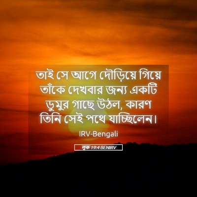 Picture 05 - লূক 19:4 BENIRV - তাই সে আগে - Bible Verse Picture
