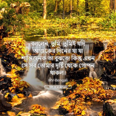 Picture 05 - লূক 19:42 BENIRV - বললেন, তুমি, তুমিই - Bible Verse Picture