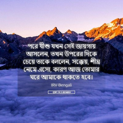 Picture 05 - লূক 19:5 BENIRV - পরে যীশু যখন সেই - Bible Verse Picture