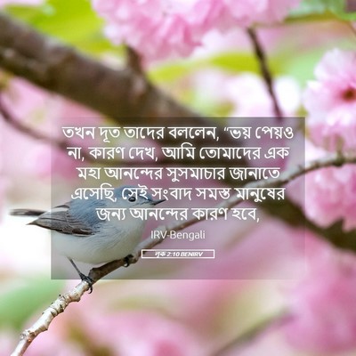 Picture 05 - লূক 2:10 BENIRV - তখন দূত তাদের - Bible Verse Picture