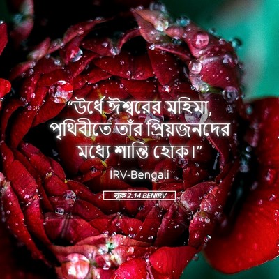 Picture 05 - লূক 2:14 BENIRV - “উর্ধে ঈশ্বরের - Bible Verse Picture