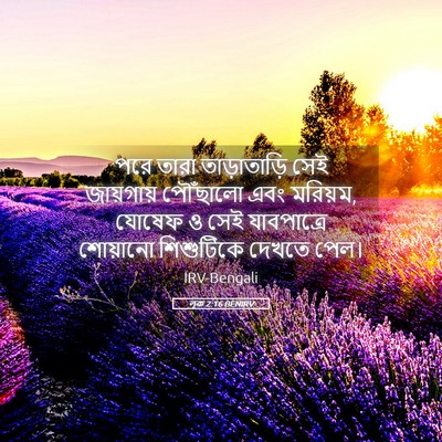 Picture 05 - লূক 2:16 BENIRV - পরে তারা - Bible Verse Picture
