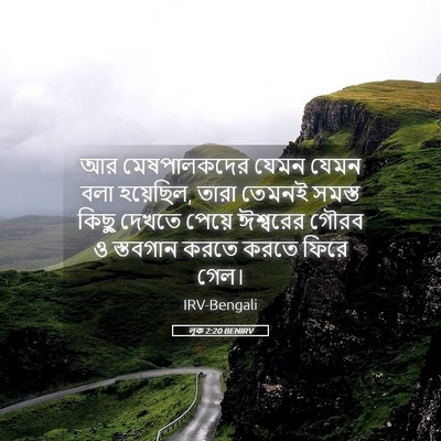 Picture 05 - লূক 2:20 BENIRV - আর মেষপালকদের - Bible Verse Picture
