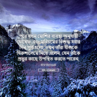 Picture 05 - লূক 2:22 BENIRV - পরে যখন মোশির - Bible Verse Picture