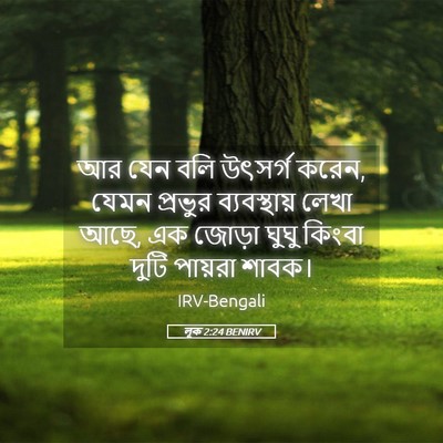 Picture 05 - লূক 2:24 BENIRV - আর যেন বলি উৎসর্গ - Bible Verse Picture