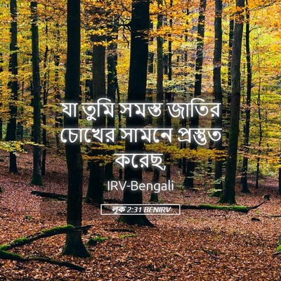 Picture 05 - লূক 2:31 BENIRV - যা তুমি সমস্ত - Bible Verse Picture
