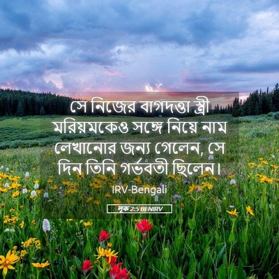 Picture 05 - লূক 2:5 BENIRV - সে নিজের বাগদত্তা - Bible Verse Picture