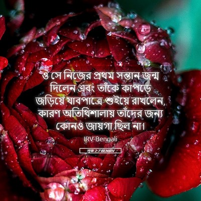 Picture 05 - লূক 2:7 BENIRV - ও সে নিজের প্রথম - Bible Verse Picture